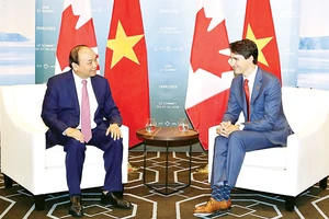 Thủ tướng Nguyễn Xuân Phúc hội đàm với Thủ tướng Canada Justin Trudeau. Ảnh: TTXVN