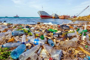 Nhật Bản thông qua dự luật hạn chế xả rác thải nhựa ra biển 
