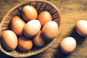 Ba Lan thu hồi hàng triệu quả trứng gà chứa dư lượng kháng sinh