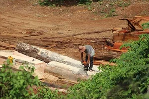 Tăng cường phòng chống khai thác, vận chuyển gỗ trái phép
