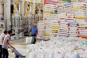 Đóng gói gạo xuất khẩu