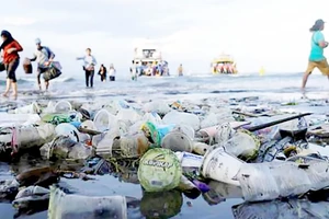 Rác thải nhựa trên đảo Nusa Penida tại Bali, Indonesia