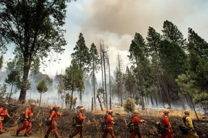 Mỹ đóng cửa công viên quốc gia Yosemite do cháy rừng