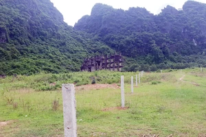 Chôn cọc lấn chiếm đất ở di sản Phong Nha - Kẻ Bàng nhưng không bị xử lý
