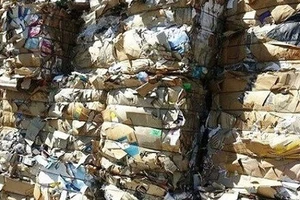 Kiểm tra tình hình nhập khẩu nhựa phế liệu