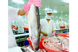 Thủy sản Việt Nam có lợi thế về xuất khẩu, sẽ mở ra thêm cơ hội khi tham gia các hiệp định FTA