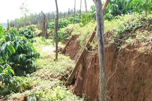 Tìm nguyên nhân sạt lở đất tại Đắk Nông