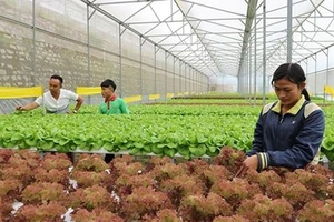 Nông nghiệp là “bệ đỡ” của khu vực ASEAN