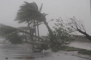 Hôm nay 30-10, siêu bão Yutu vào biển Đông