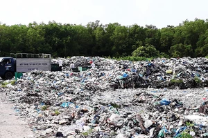 Bãi rác tạm tại thị trấn Cái Đôi Vàm nằm trong khu vực rừng phòng hộ