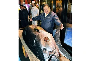 "Vua sushi" mua cá ngừ kỷ lục 3 triệu USD tại phiên đấu giá năm mới ở Nhật Bản