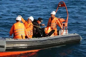 Điều tra vụ tàu dịch vụ dầu khí va chạm với tàu cá Bình Định
