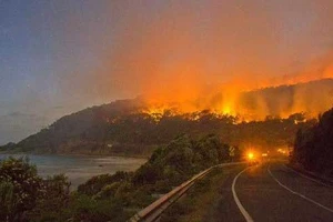 Hơn 2.000 lính cứu hỏa Australia chiến đấu với “giặc lửa”