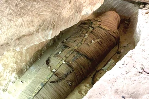 Discovery trực tiếp cảnh mở quách chứa xác ướp Ai Cập