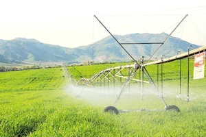 Tưới nước công nghệ cao trên đồng cỏ trang trại TH