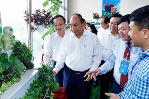 Thủ tướng Nguyễn Xuân Phúc và các đại biểu tham quan khu vực trưng bày sản phẩm đặc trưng của vùng đồng bằng Bắc bộ. Ảnh: TTXVN