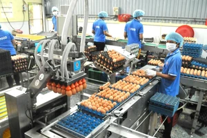 Sử dụng robot trong xử lý trứng, thực hiện sản xuất xanh tại doanh nghiệp ở TPHCM. Ảnh: CAO THĂNG