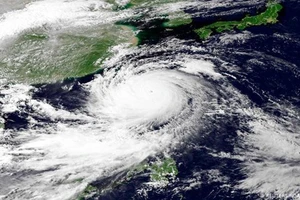 Đài Loan "đón" bão mạnh