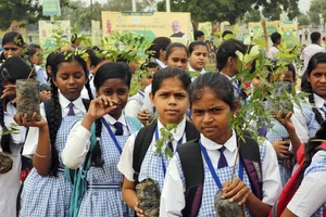 Ấn Độ trồng 220 triệu cây xanh trong 1 ngày
