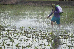 Thái Lan ngừng cấp phép hóa chất nông nghiệp nguy hiểm