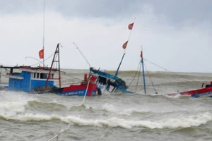 Kịp thời ứng cứu 12 ngư dân trên tàu cá bị chìm