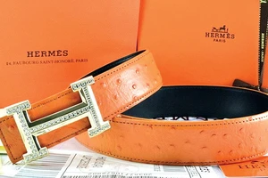 Hermès, một thương hiệu thời trang cao cấp của Pháp, bị làm nhái rất nhiều