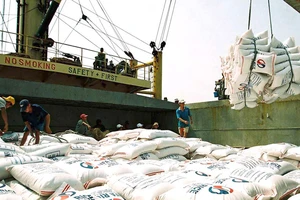 Cơ hội xuất gạo Việt sang châu Phi