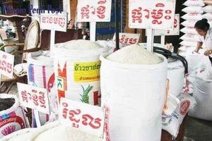 Campuchia hạn chế xuất khẩu gạo 