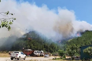 Kiểm điểm ban quản lý chậm báo cáo vụ cháy 17ha rừng
