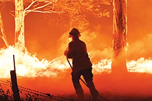 Chữa cháy rừng tại Australia
