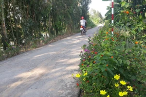 Một tuyến đường tại Long An nhờ thực hiện Chương trình Nông thôn mới đã được bê tông hóa khang trang, sạch đẹp