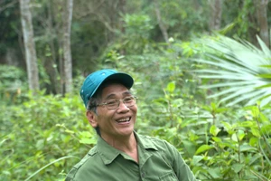 Cựu chiến binh Đinh Ngọc Loan giữ gìn, chăm sóc rừng trầm để giữ hồn cốt quê hương