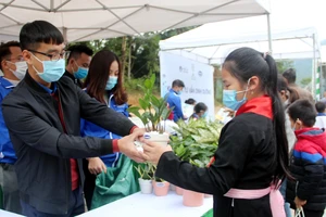 Đổi rác thải lấy cây xanh tại Chương trình Quỹ một triệu cây xanh cho Việt Nam