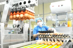 Sử dụng robot trong chế biến trứng gia cầm tại Công ty Vĩnh Thành Đạt. Ảnh: CAO THĂNG