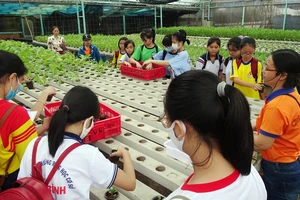 Các học sinh trải nghiệm trồng rau qua Cuộc thi “Văn hay chữ tốt”