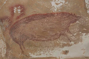 Bức tranh vẽ một con heo rừng, có niên đại từ cách đây tối thiểu 45.500 năm