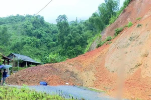 Ảnh minh họa: Nguồn TTXVN