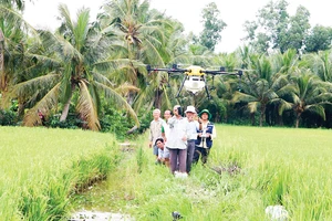 Nông dân Hậu Giang điều khiển máy bay phun thuốc trên ruộng lúa