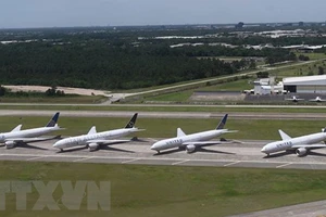 Máy bay của hãng hàng không United Airlines tại sân bay quốc tế George Bush, bang Texas, Mỹ. Ảnh: TTXVN
