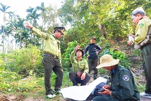 Lực lượng bảo vệ rừng liên tỉnh đang tuần tra, khảo sát rừng ở vùng giáp ranh ngã ba Quảng Ngãi - Kon Tum - Quảng Nam (ảnh chụp trước khi dịch Covid-19 bùng phát). Ảnh: XUÂN HUYÊN
