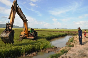 Cần giảm đê bao ngăn lũ để sản xuất lúa vụ 3 (thu đông) ở ĐBSCL, nhằm tích trữ nước lũ