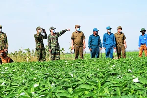 Lực lượng chức năng ở An Giang tăng cường tuần tra biên giới, quyết giữ “vùng xanh” an toàn
