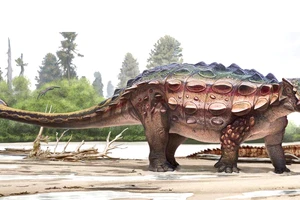 Tìm thấy hóa thạch khủng long con quý hiếm