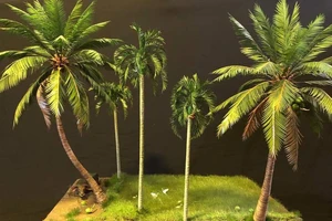 Vườn dừa mini do anh Lê Mỹ Dặm chế tác