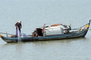Ngư dân đánh bắt cá trên sông Mekong. Ảnh: TTXVN