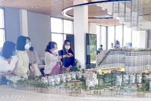 Một doanh nghiệp giới thiệu với khách hàng dự án bất động sản nghỉ dưỡng ở thị trấn Long Hải (Long Điền, Bà Rịa - Vũng Tàu). Ảnh: ĐỨC TRUNG