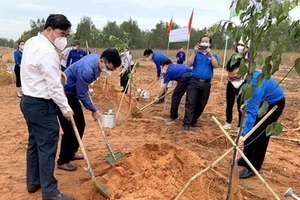 Đoàn viên, thanh niên Bình Thuận trồng 1.000 cây sao đen dọc tuyến kênh thủy lợi tại Khu Lê Hồng Phong, xã Hồng Phong, huyện Bắc Bình. Ảnh: TTXVN