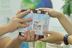 Trong chiến dịch này, TH thu gom vỏ hộp sữa các loại, không phân biệt nhãn hiệu hay nhà sản xuất. Ảnh: MẠC HÓA