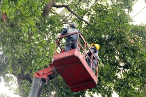 Thi công, làm việc trên cao cần phải được trang bị đồ bảo hộ để đảm bảo an toàn