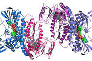 Hình ảnh dạng 3D các cấu trúc protein do AI của DeepMind lập